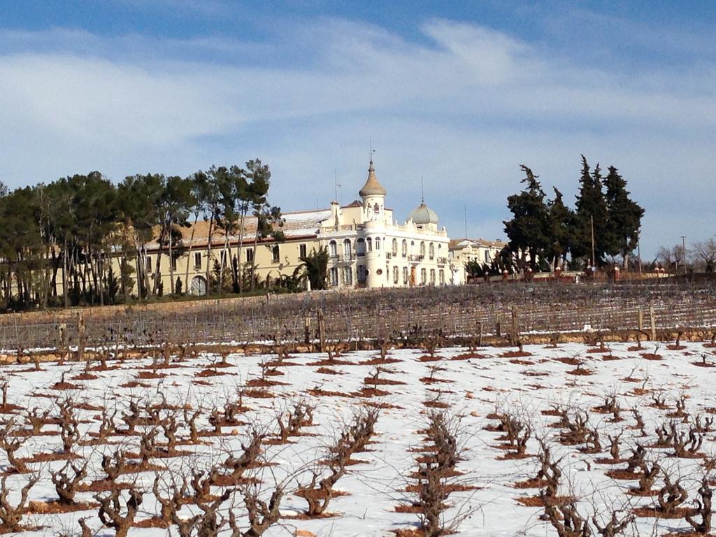 Finca Casa Nueva เรเกนา ภายนอก รูปภาพ